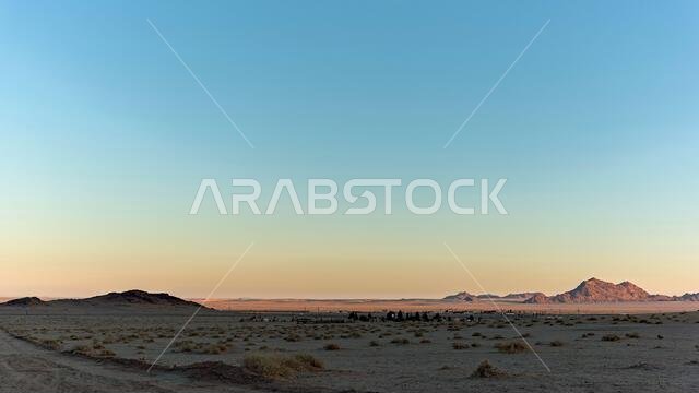 Desert landscapes