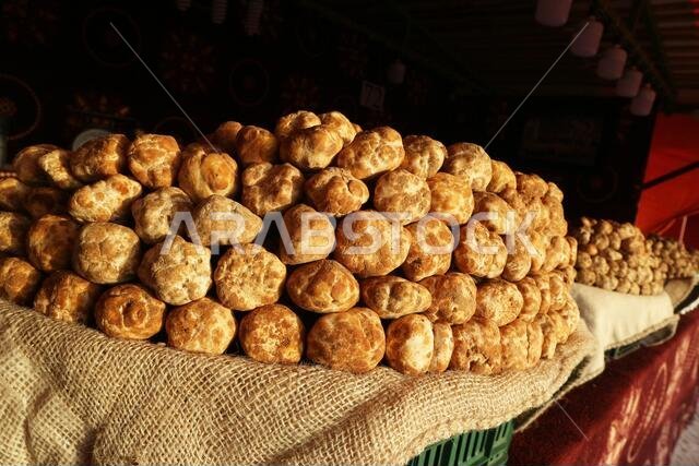 Truffles harvested in the deserts of Saudi Arabia, Iraq, and Iran on sale in market in Kuwait