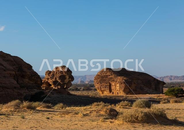 المقابر النبطية في موقع الحجر الأثري في مدائن صالح، منطقة المدينة المنورة، العلا، المملكة العربية السعودية