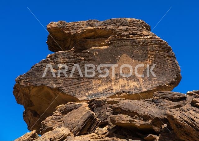 Life-sized camel petroglyph on a rock, Najran Province, Thar, Saudi Arabia