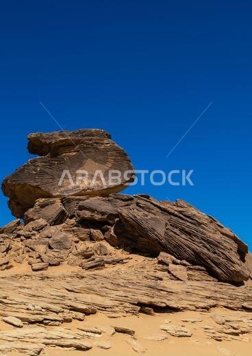 Life-sized camel petroglyph on a rock, Najran Province, Thar, Saudi Arabia