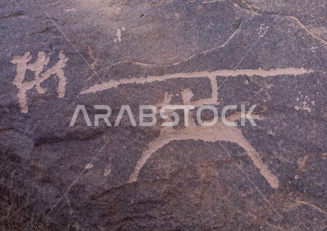 Petroglyphs on a rock depicting hunters, Najran Province, Thar, Saudi Arabia