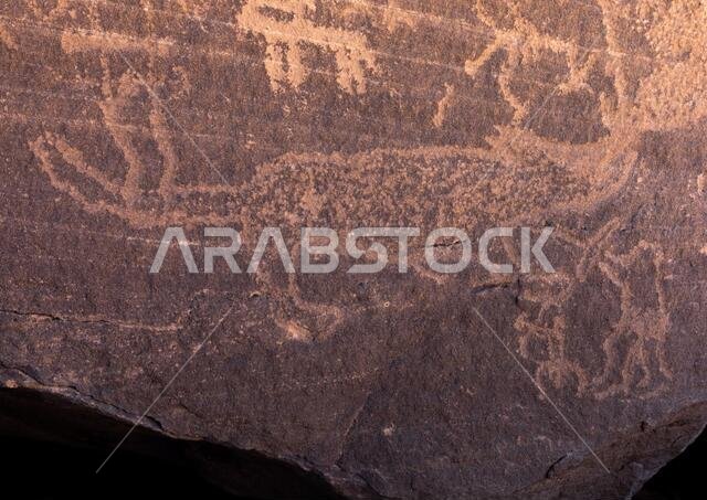 Petroglyphs rock art depicting an animal hunted, Najran Province, Thar, Saudi Arabia