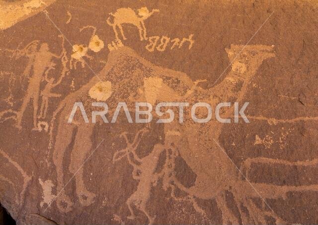 Petroglyphs on a rock depicting camel with bullet holes, Najran Province, Thar, Saudi Arabia
