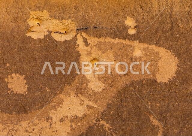Petroglyphs on a rock depicting camel head with bullet holes, Najran Province, Thar, Saudi Arabia