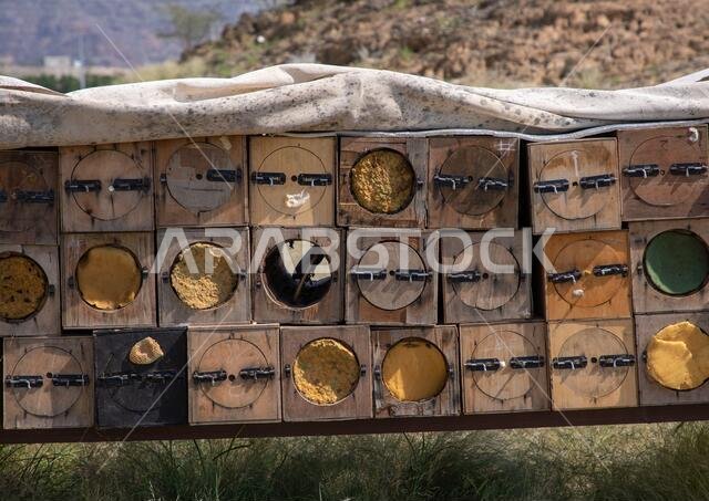 Beehives in a farm, Jizan province, Addarb, Saudi Arabia Beehives in a farm, Jizan province, Addarb, Saudi Arabia