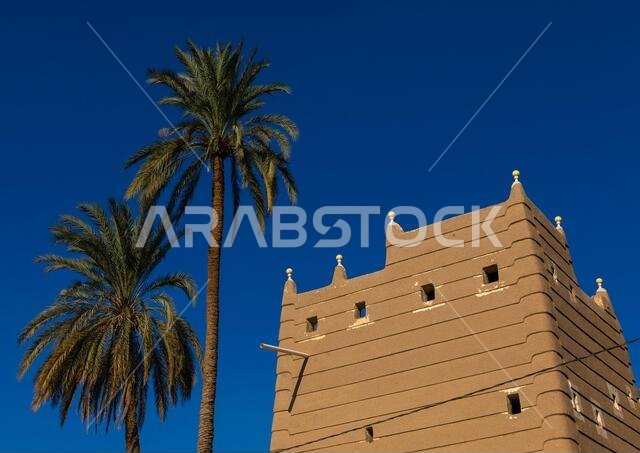 منزل طيني تقليدي قديم وسط أشجار النخيل، محافظة نجران، نجران، المملكة العربية السعودية منزل طيني تقليدي قديم وسط أشجار النخيل، محافظة نجران، نجران، المملكة العربية السعودية