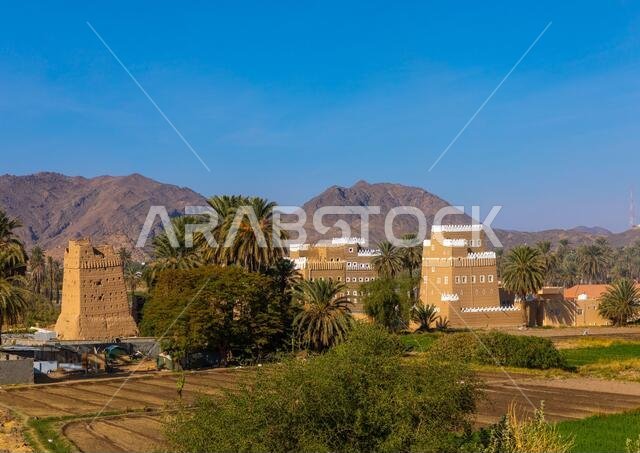 Traditional old mud house in the middle of plam trees, Najran Province, Najran, Saudi Arabia