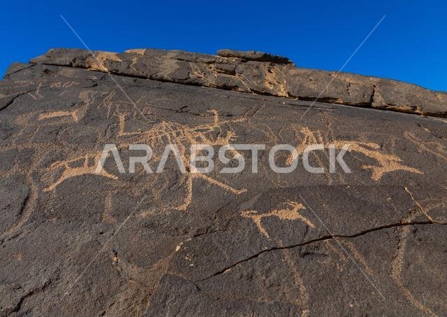 Petroglyphs on a rock depicting hunters, Najran Province, Thar, Saudi Arabia