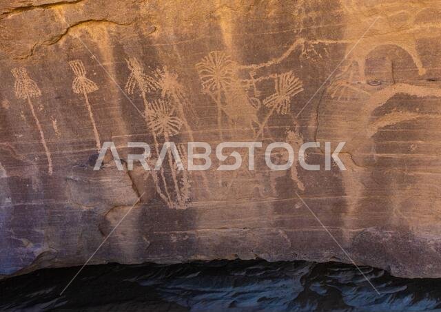 Petroglyphs rock art depicting palm trees, Najran Province, Minshaf, Saudi Arabia