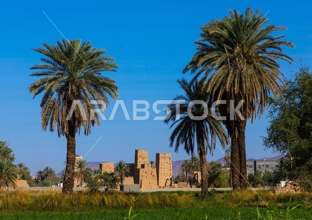 Traditional old multi-storey mud houses, Najran Province, Najran, Saudi Arabia