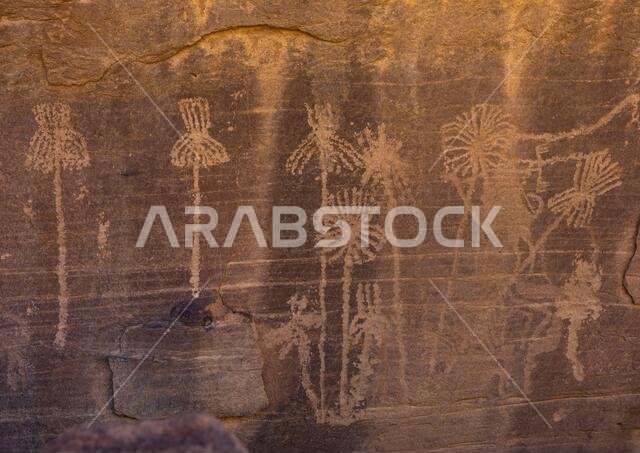 Petroglyphs rock art depicting palm trees, Najran Province, Minshaf, Saudi Arabia