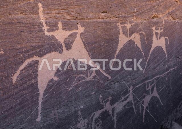 Petroglyphs on a rock depicting men hunting on horses, Najran Province, Minshaf, Saudi Arabia