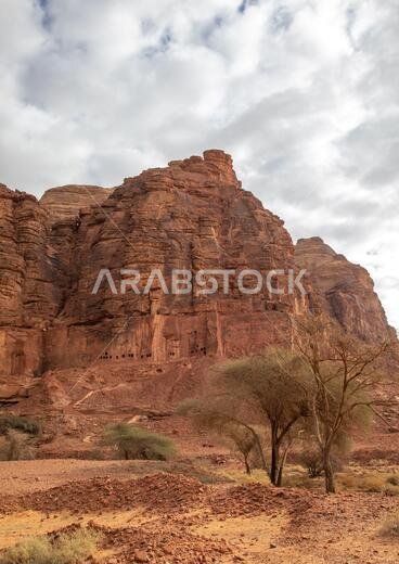 Jebel Dedan, Al Madinah Province, Alula, Saudi Arabia