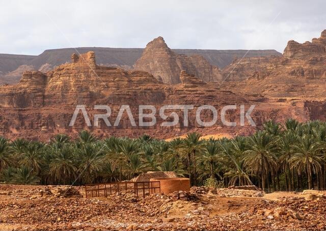 بئر أثرية في جبل عكمة، منطقة المدينة المنورة، العلا، المملكة العربية السعودية بئر أثرية في جبل عكمة، منطقة المدينة المنورة، العلا، المملكة العربية السعودية