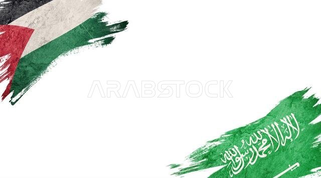 Flags of Palestine and Saudi Arabia on white background