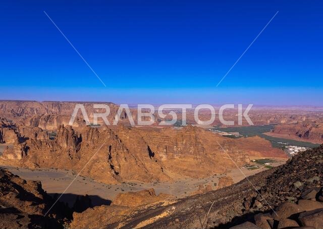 Oasis in the middle of the wadi al-Qura, Al Madinah Province, Alula, Saudi Arabia