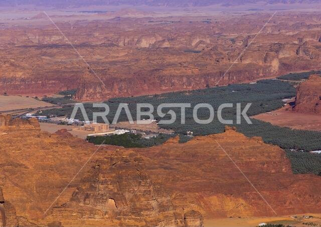Oasis in the middle of the wadi al-Qura, Al Madinah Province, Alula, Saudi Arabia