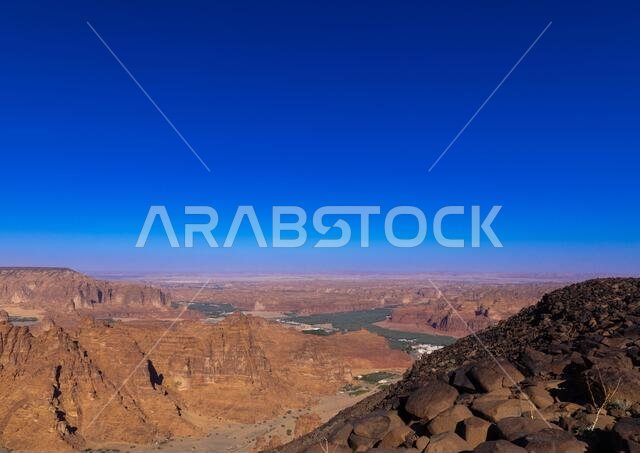 Oasis in the middle of the wadi al-Qura, Al Madinah Province, Alula, Saudi Arabia