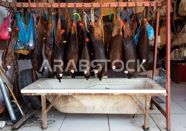 Traditional water-bags made of animal skin above a bathtub, Najran Province, Najran, Saudi Arabia