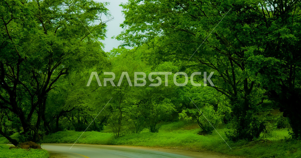 A breathtaking picture of the beauty of nature in the Governorate of ...