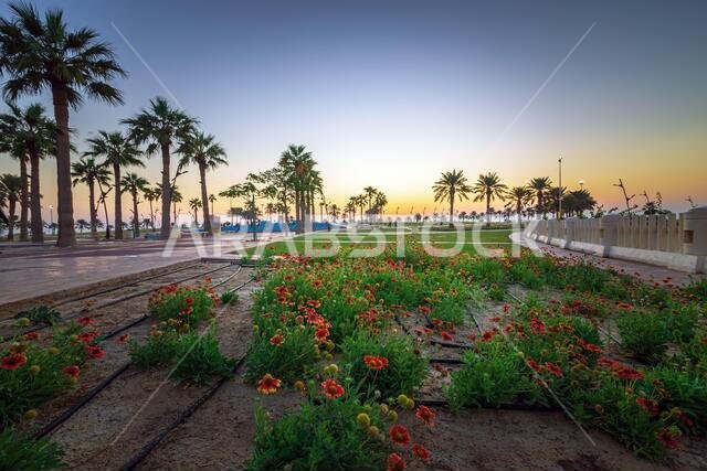 Beautiful flower gardens inside Al khobar park - City : Khobar, Saudi Arabia.