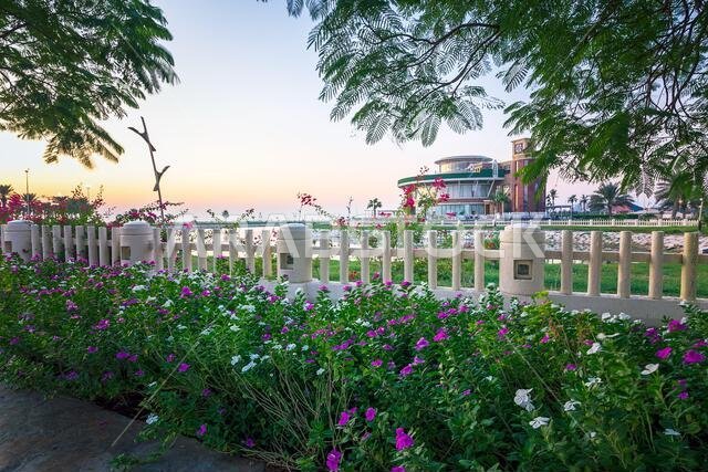 Beautiful flower gardens inside Al khobar park - City : Khobar, Saudi Arabia.