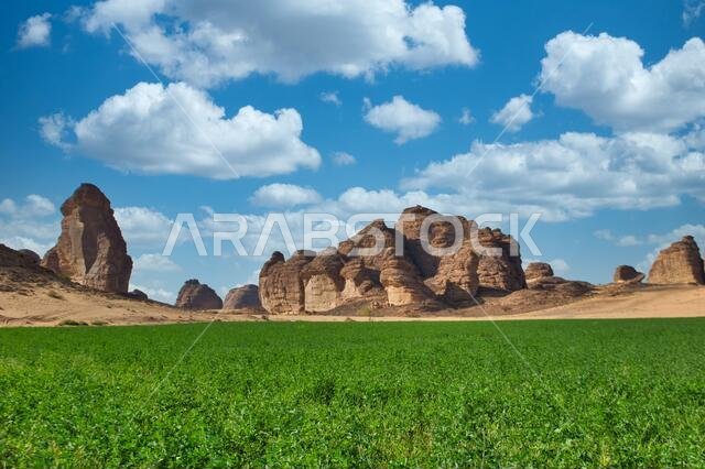Al Ula beauty of Arabian landscape in Saudi Arabia