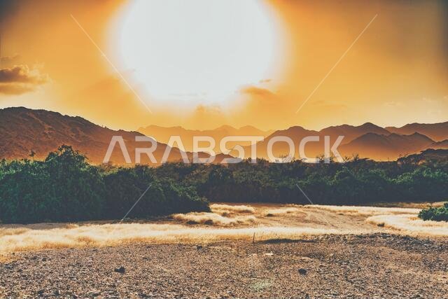 Arabian landscape beauty of Saudi Arabia
