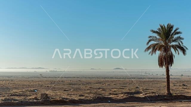 Desert mist in early morning
