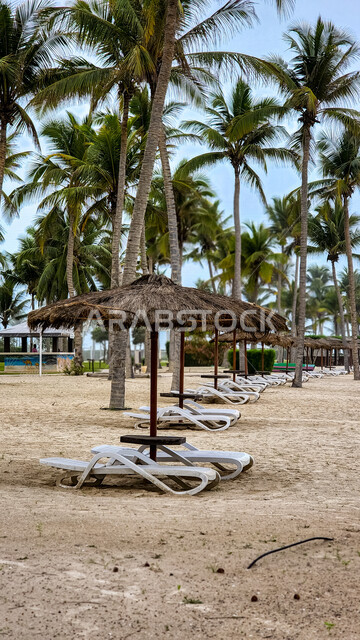 صورة مقربة لجلسات على شاطئ البحر في سلطنة عمان , الطبيعة الساحرة , السياحة في صلالة , قضاء وقت هادئ و ممتع على البحر .  