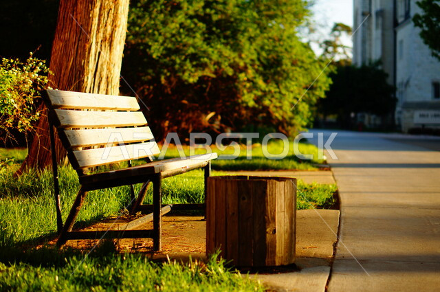 صورة مقربة لمقعد في حديقة عامة هادئة , جمال الأشجار الخضراء والطبيعة الخلابة, خلفية الطبيعة .