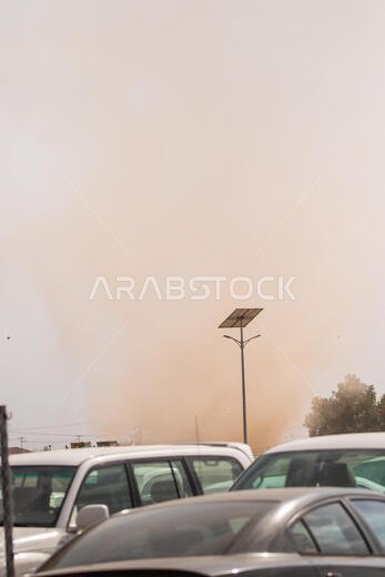 سباق الهجن في الطائف، المملكة العربية السعودية
