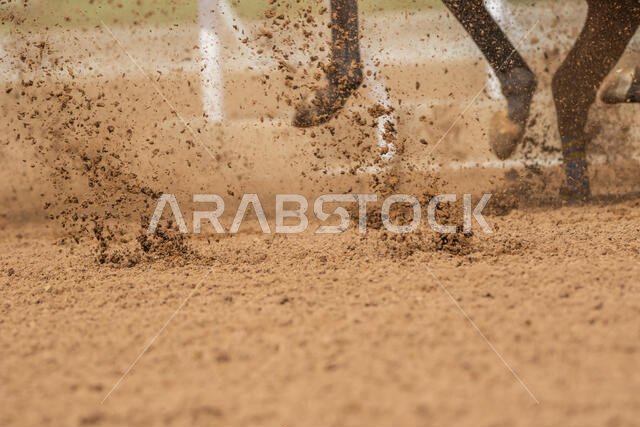 سباق الخيل في مضمار الملك خالد، الطائف، المملكة العربية السعودية، 28/06/2019