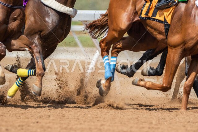Horse Racing at King Khalid Racetrack, Taif, Saudi Arabia 28/06/2019
