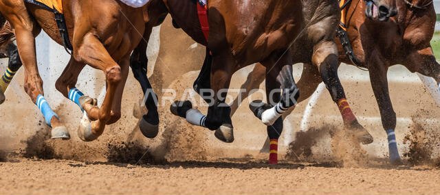 سباق الخيل في مضمار الملك خالد، الطائف، المملكة العربية السعودية، 28/06/2019