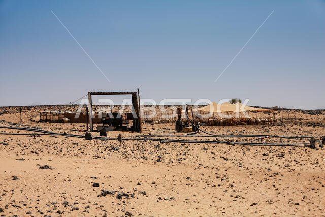 بئر وأغنام في مزرعة نائية في صحراء حرة كشب، منطقة مكة المكرمة، المملكة العربية السعودية