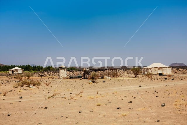 A Bedouin camp in Harrat Kishb near Umm Aldoom, Saudi Arabia