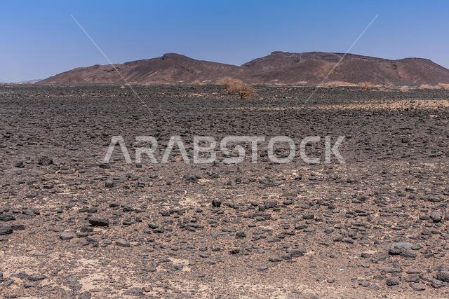 Lava field in Harrat Kishb near Umm Aldoom, Saudi Arabia
