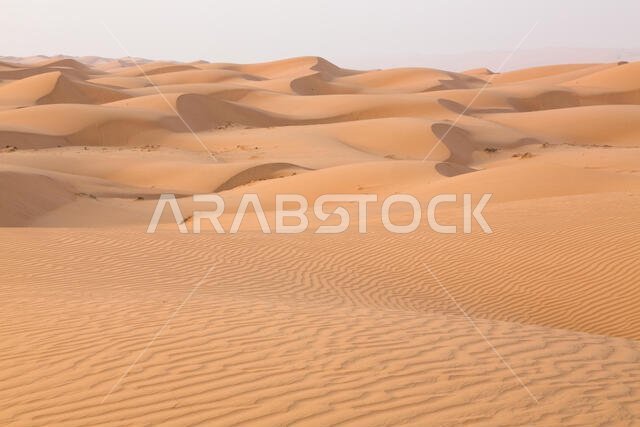 الكثبان الرملية في الربع الخالي
