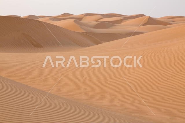 Sand Dunes in the Empty Quarter