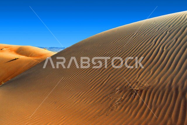 Sand-dunes in the desert of Oman near the border with Saudi Arabia.  Sanddünen in Oman - Saudi Arabien