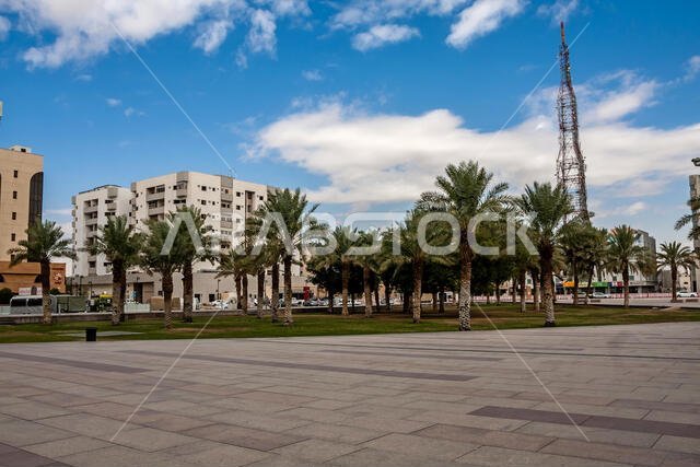 حديقة مكتبة الملك فهد، الرياض