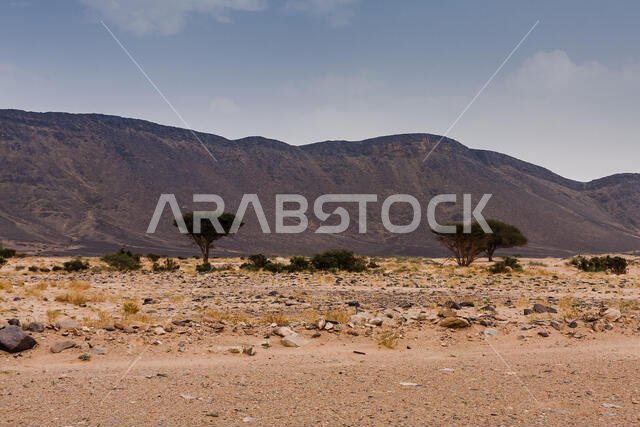 Hills with lava outcrops in the desert of Saudi Arabia