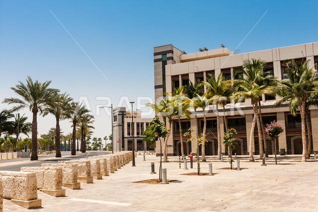 شارع الاستكشاف في حرم جامعة الملك عبد الله للعلوم والتقنية، ثول، المملكة العربية السعودية