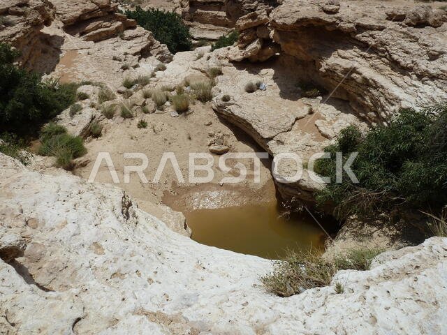 Temporary rainfall ponds in the eroded limestone cavities in the desert near Riyadh