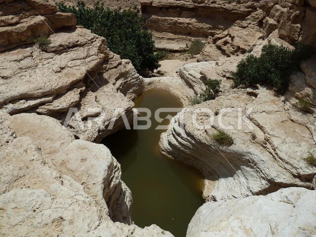 Temporary rainfall ponds in the eroded limestone cavities in the desert near Riyadh