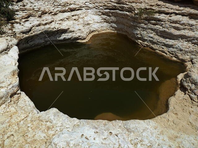 Temporary rainfall ponds in the eroded limestone cavities in the desert near Riyadh