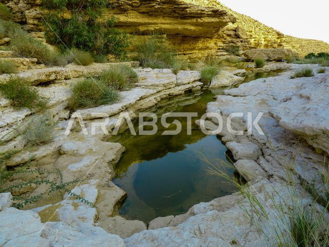 Temporary rainfall ponds in the eroded limestone cavities in the desert near Riyadh