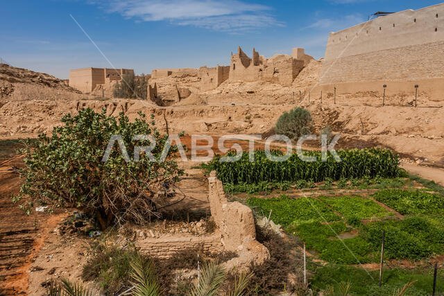 مزرعة عضوية في وادي حنيفة بالقرب من الدرعية التاريخية، الرياض